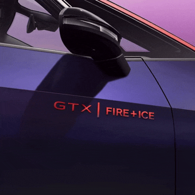 Schriftzüge, Embleme